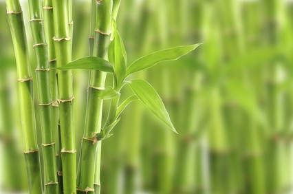 29.-Bamboo-Sheets.jpg